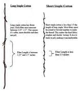 100% Cotton Sateen Pillow Cases Covers - Set of 4 with Envelope Closure (Square - 18 inch x 18 inch, Mushroom) - Image 7