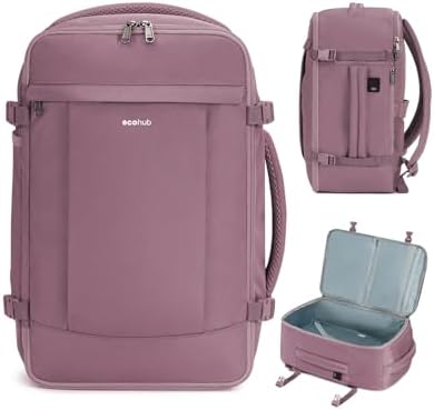 ECOHUB 17'' Small Travel Backpack, United Airlines Personal Item Bag 16.9"x10"x7.5" Carry on Backpack with USB Port Luggage Sleeve Travel Essentials for Men Women Water Resistant, Pink by ECOHUB