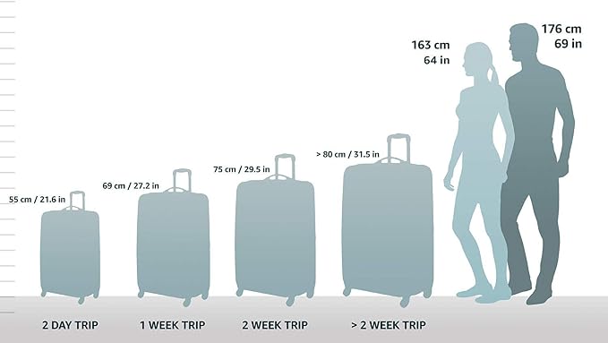 Rockland Safari Hardside Spinner Wheel Luggage, Carry-on 20", Leopard - Image 4