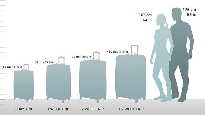 Rockland Safari Hardside Spinner Wheel Luggage, Blue Leopard, Carry-On 20-Inch - Image 2