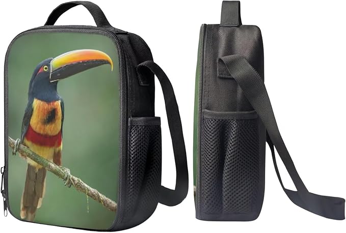 Girls Boys School Backpack with Lunch Box Pencil Case Comfy Padded Lightweight Bird Aracari Backpack Set Kids Cute Bookbag Insulated Lunch Bag Student Large Capacity Daypack 17 Inch - Image 4