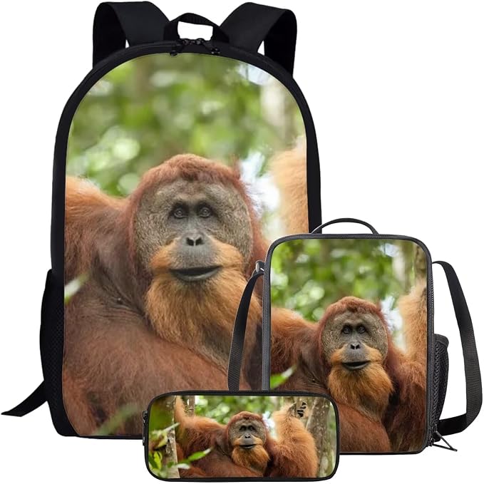 Girls Boys School Backpack with Lunch Box Pencil Case Comfy Padded Lightweight Animal Orangutan Backpack Set Kids Cute Bookbag Insulated Lunch Bag Student Large Capacity Daypack 17 Inch by Parprinty