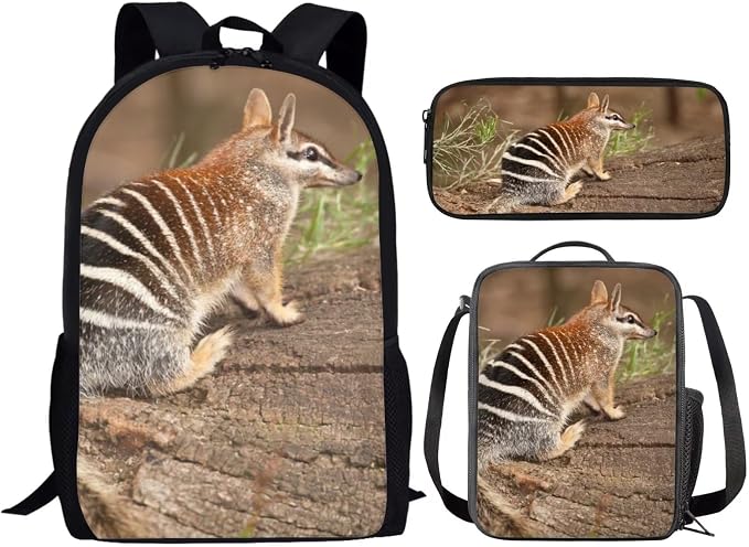 Kids Novelty Animal Backpack and Lunch Box for Boys Girls Student Lightweight 17 Inch School Anteater Backpack with Lunch Bag Pencil Case Kids Comfy Padded Black Large Bookbag - Image 2