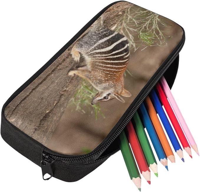 Kids Novelty Animal Backpack and Lunch Box for Boys Girls Student Lightweight 17 Inch School Anteater Backpack with Lunch Bag Pencil Case Kids Comfy Padded Black Large Bookbag - Image 5