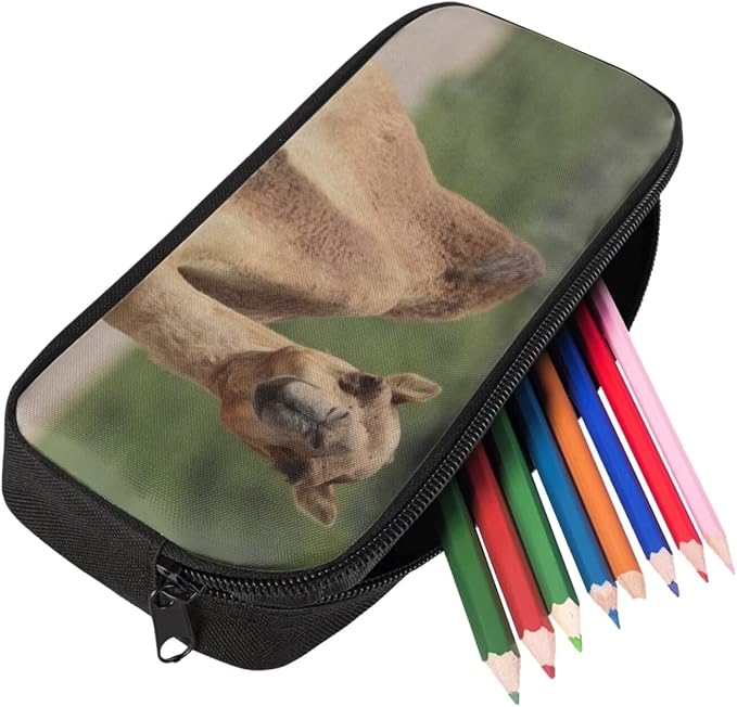 Girls Boys School Backpack with Lunch Box Pencil Case Comfy Padded Lightweight Camel Backpack Set Kids Cute Bookbag Insulated Lunch Bag Student Large Capacity Daypack 17 Inch - Image 5