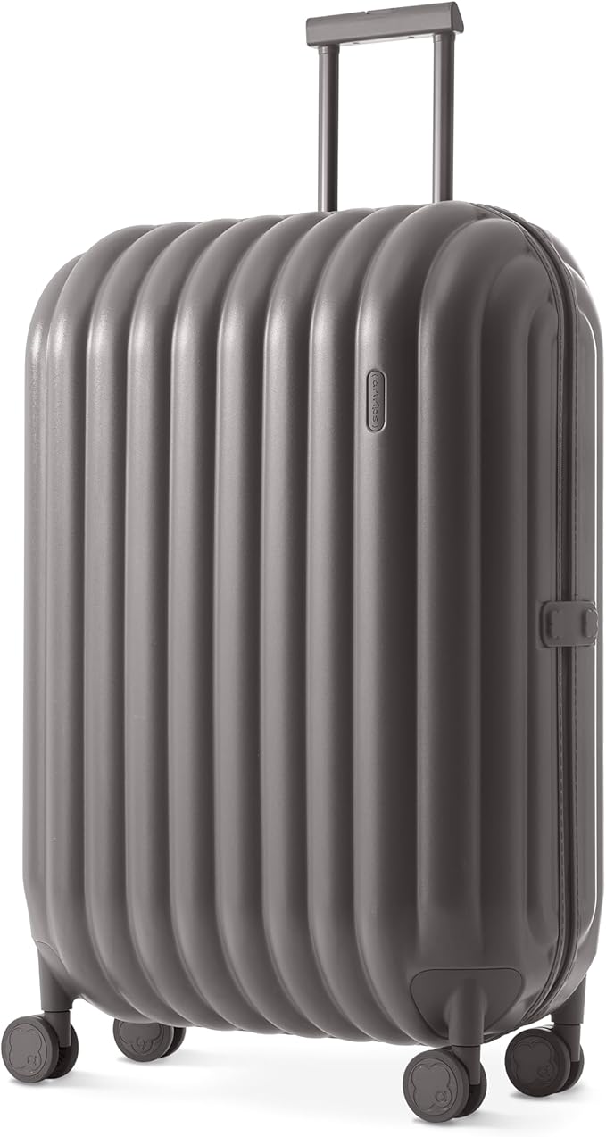 artrips Large Checked Luggage 28 Inch, Hard Shell Suitcase with Spinner Wheels, Large Travel Suitcase for Long Trips and Family Travel, Grey by artrips
