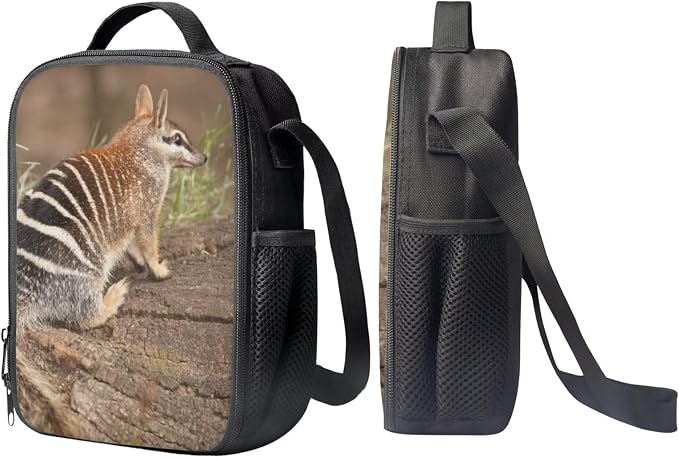 Kids Novelty Animal Backpack and Lunch Box for Boys Girls Student Lightweight 17 Inch School Anteater Backpack with Lunch Bag Pencil Case Kids Comfy Padded Black Large Bookbag - Image 4