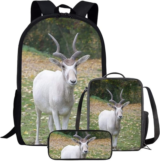 Kids Novelty Animal Backpack and Lunch Box for Boys Girls Student Lightweight 17 Inch School Addax Backpack with Lunch Bag Pencil Case Kids Comfy Padded Black Large Bookbag by Parprinty