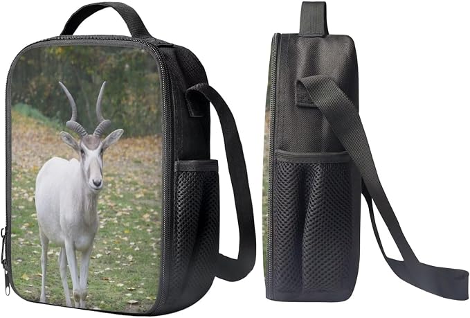 Kids Novelty Animal Backpack and Lunch Box for Boys Girls Student Lightweight 17 Inch School Addax Backpack with Lunch Bag Pencil Case Kids Comfy Padded Black Large Bookbag - Image 4