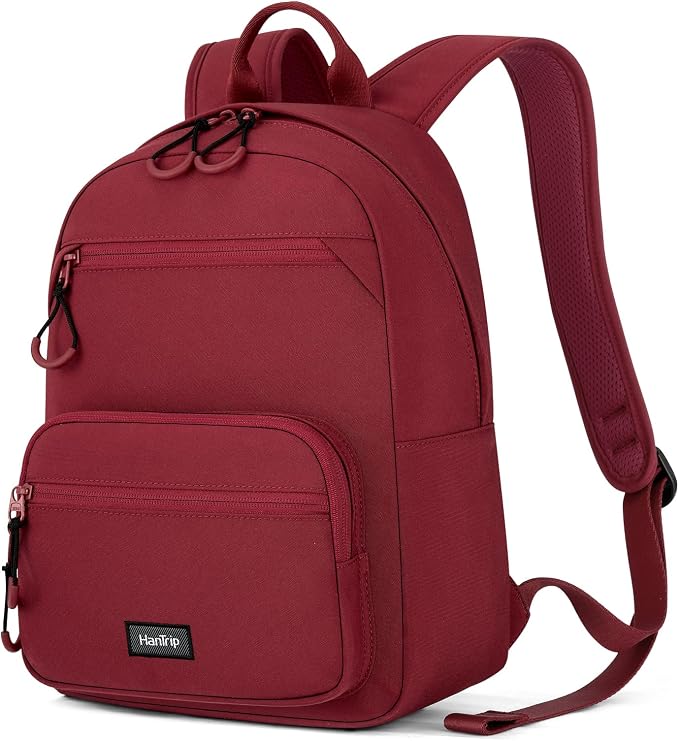 HanTrip Carry On Travel Backpack For Men Women, 13 Inch Small Mini Work Bag Personal Item Backpacks, Camping Back Pack Lightweight Hiking Daypack For Office Nurse Commuter (Burgundy) by HanTrip