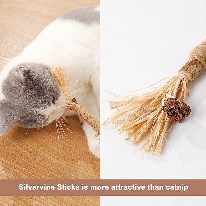 PAZ'S GIFT Catnip Toy Cat Toys Catnip Toy cat chew Toy cat Kicking silvervine Stick Teeth Cleaning Cute Kitten Teething Indoor Interactivecat Dental Care Matatabi (Raffia 2pcs)