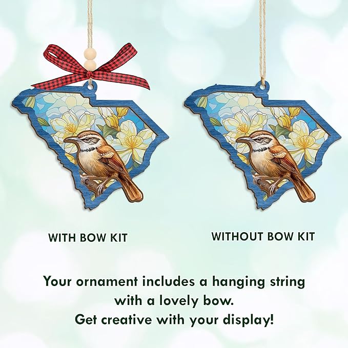 FLAGWIX Christmas South Carolina Gifts for Women Men - Suncatcher Christmas Ornaments 2025 for Xmas Decorations - House Warming Gifts for Men Women Family Friends, Stocking Stuffers for Carolina Decor