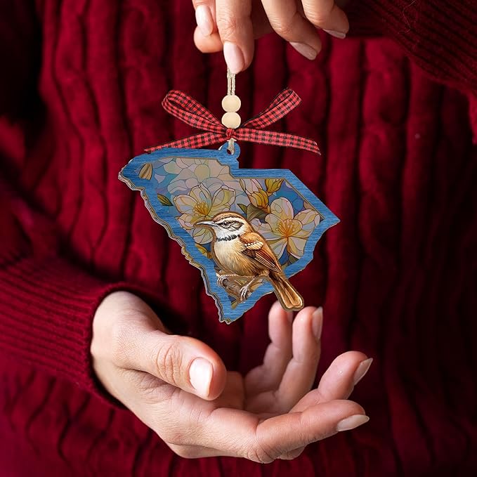 FLAGWIX Christmas South Carolina Gifts for Women Men - Suncatcher Christmas Ornaments 2025 for Xmas Decorations - House Warming Gifts for Men Women Family Friends, Stocking Stuffers for Carolina Decor