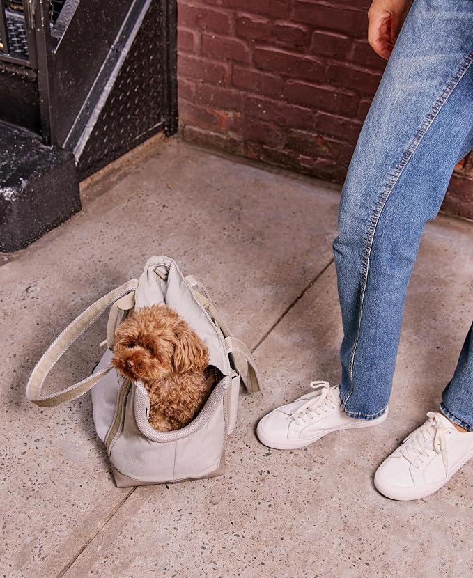 Cleverpup Transit Tote Dog Carrier for Small Dogs Under 8 lbs, 16x11x8 Soft-Sided 4-Pc Set with Waterproof Base, Plush Insert, Food Pouch, Mesh Head Opening - Small, Sand - Image 6